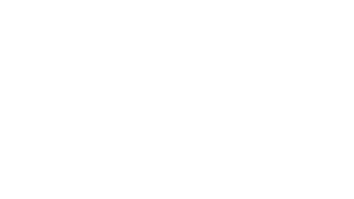 Advance Vision Group